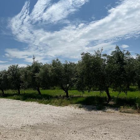 Il Casale Del Nonno Armando Villa Torrevecchia Teatina Exteriör bild